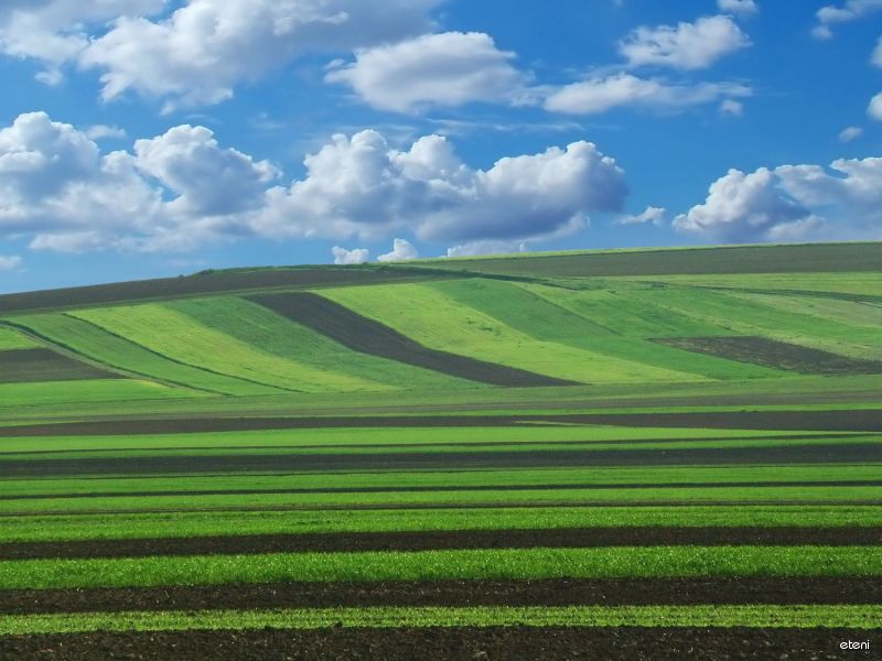 Paysage urbain